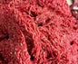 Viande hachée (prix/kg)
