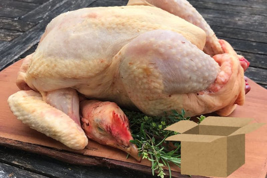 Poule pondeuse rousse du pays