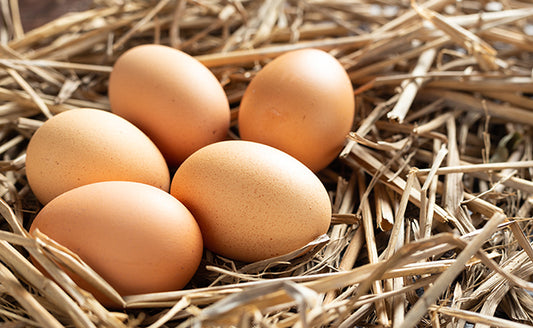 Œufs de poule de la ferme (prix/pour 12)