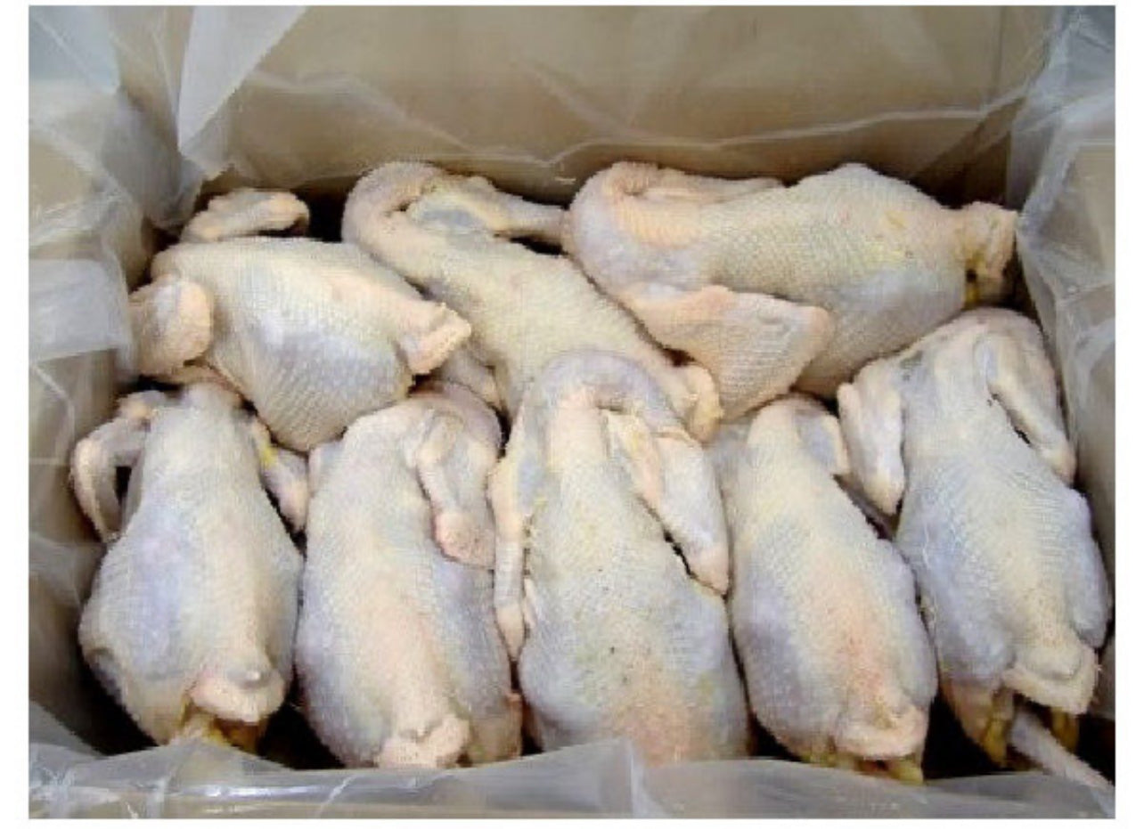 Carton de poule (5)