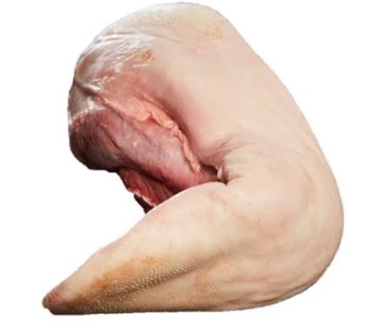 Langue de boeuf (unité)