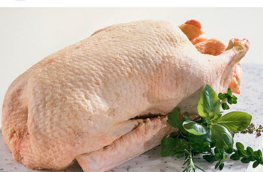 Canard (unité)