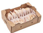 Carton de haut de cuisse de poulet (5 kg)