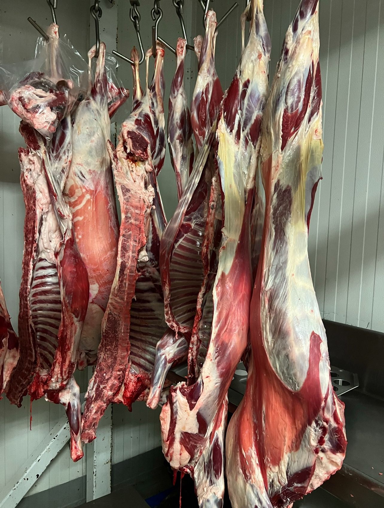 Mouton entier (poids moyen 16 kg)