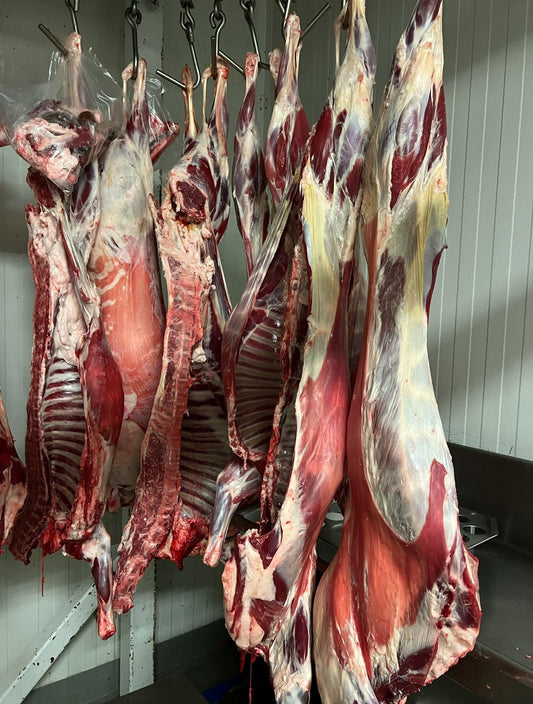 Mouton entier (poids moyen 16 kg)